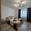 Vila P+1 , DUPLEX , teren 507 mp ,Lumina thumb 8