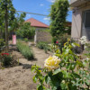 Vila P+1 , DUPLEX , teren 507 mp ,Lumina thumb 15