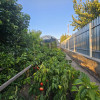 Casa+Pensiune P+M +Livadă,Corbu thumb 17