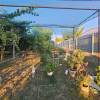 Casa+Pensiune P+M +Livadă,Corbu thumb 18